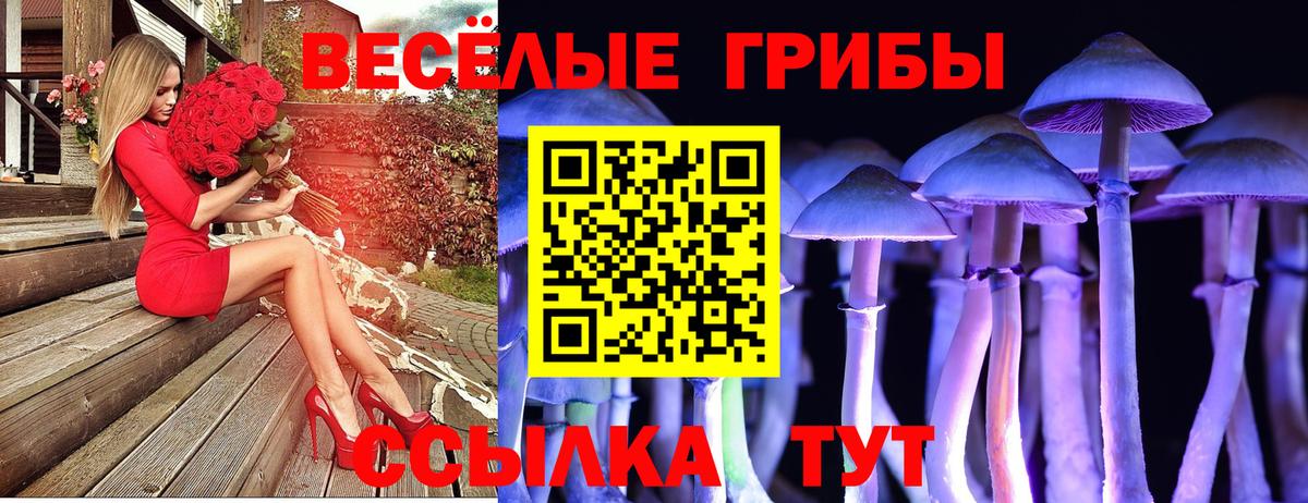 Псилоцибиновые грибы прущие грибы Мытищи