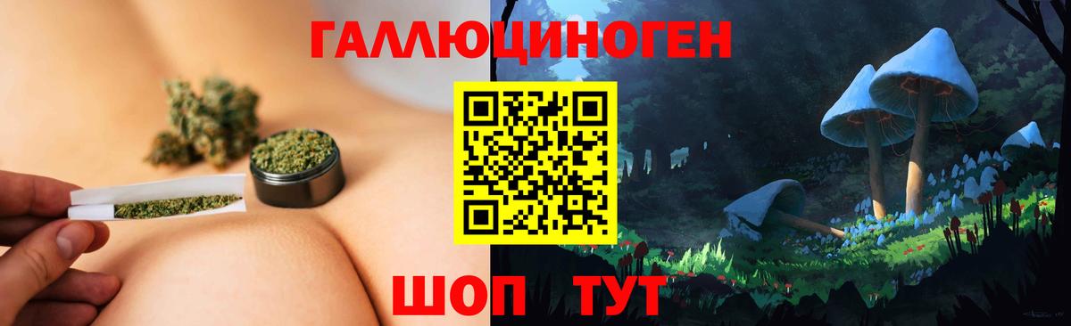 Мытищи  Псилоцибиновые грибы ЛСД  Вход с VPN 
